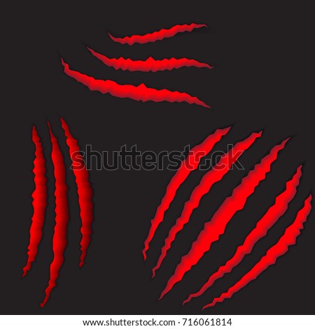 Red Bloody Claw Deep Scratches Vector Stock Vector 290223092 - Shutterstock