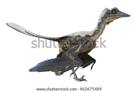 Archaeopteryx Side Profile Archaeopteryx Most Primitive ...