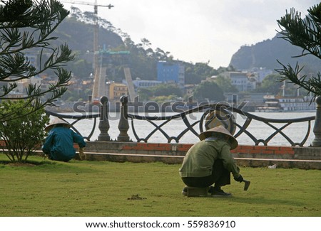 HA LONG BAY, VIETNAM - JUNE 4, 2015: street worker is pulling up weeds of the lawn outdoor in Ha Long, Vietnam