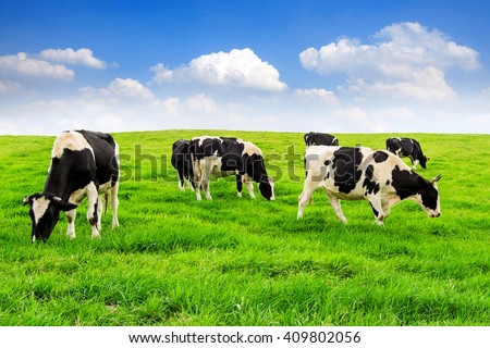 Cow farm minecraft