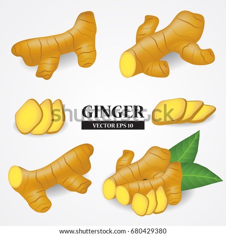 Ginger Cartoon Stock Images, Royalty-Free Images & Vectors | Shutterstock