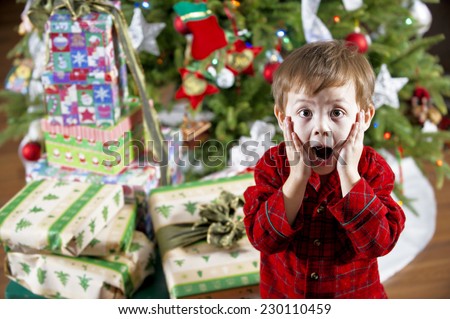 big christmas surprise / the young lad is astonished / by all of the gifts