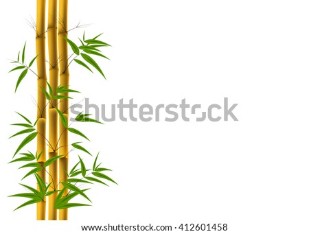 Vector illustration of Bamboo background with copyspace