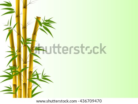 Vector illustration of Bamboo, Nature background with copyspace