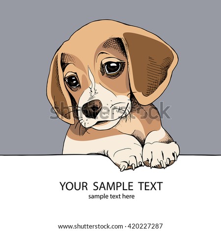 Beagle legal coupons