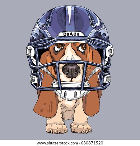 Image result for Illustrations of sports hounds