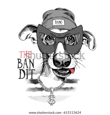 Bandit Stock Images, Royalty-Free Images & Vectors | Shutterstock