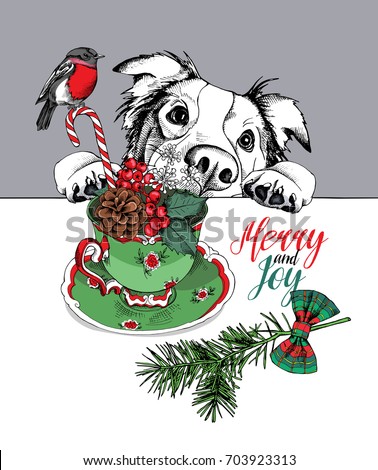 australian shepherd outline australian shepherd stock vectors images u0026 vector art shutterstock australian shepherd outline australian shepherd stock vectors images u0026 vector art shutterstock