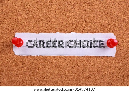 essays about career choices essays about career choices