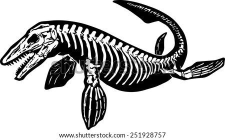 Free Free Shark Skeleton Svg 361 SVG PNG EPS DXF File