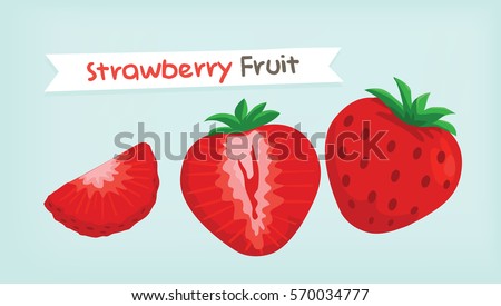 strawberry fruit vector
