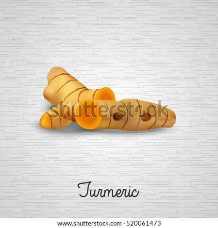 Turmeric plants. Vector illustration