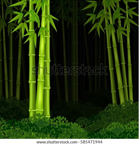 Vector illustration of Background bamboo forest at night