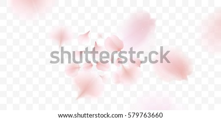 Pink sakura falling petals vector background. 3D romantic illustration