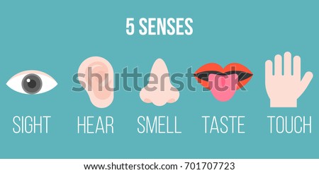 Nose Stock Images, Royalty-Free Images & Vectors | Shutterstock