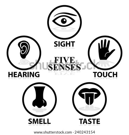 Five Senses Stock Photos, Images, & Pictures | Shutterstock