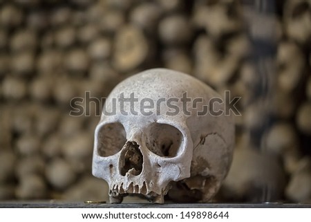 stock-photo-human-skull-149898644.jpg