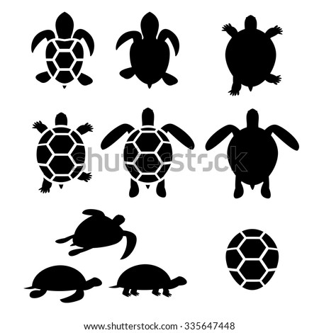 Terrapin Stock Vectors, Images & Vector Art | Shutterstock