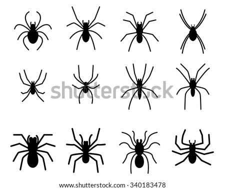 Set Black Silhouette Spider Icon Isolated Stock Vector 296324612 ...