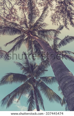 Palm Trees On Beautiful Sunset Background Stock Photo 203877463 ...