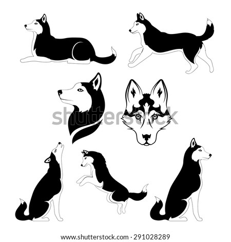 Husky Icons Silhouettes Set Graphic Illustrations Stock Vector ...