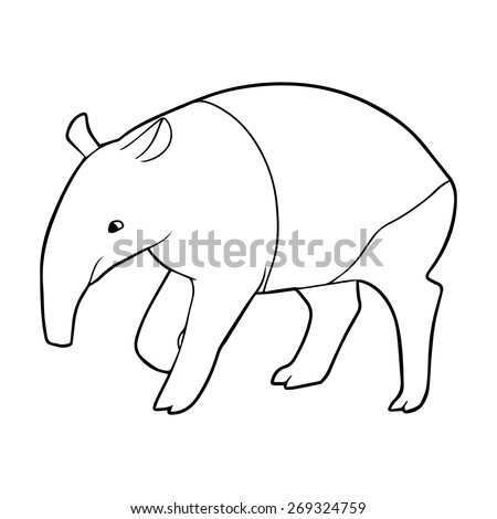 Tapir Outline Illustration Stock Vector (Royalty Free) 269324759