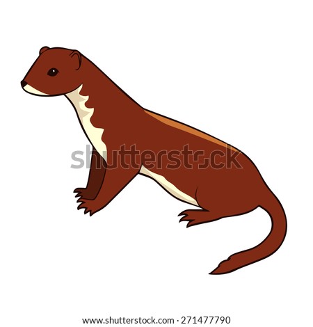 Weasel Stock Photos, Royalty-Free Images & Vectors - Shutterstock