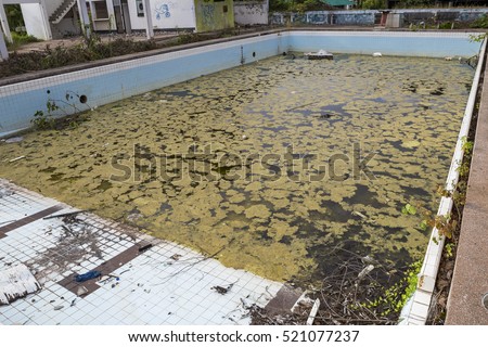 Image result for dirty swimming pool