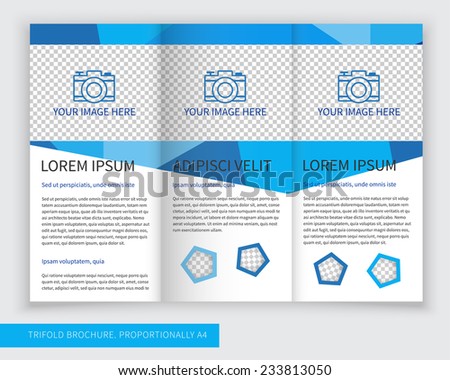 blue trifold