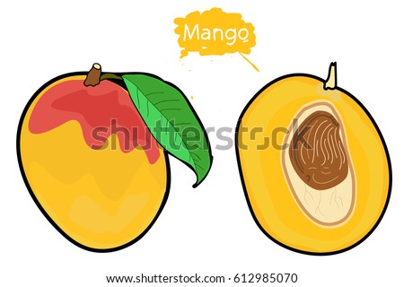 Mango Leaves Stock Images, Royalty-Free Images & Vectors ...