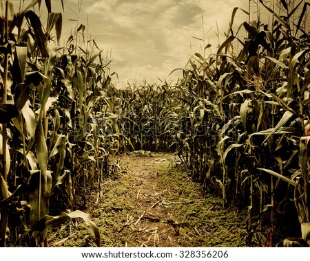 background corn field scary halloween horror concept shutterstock theme night search royalty preview haunted logo dark