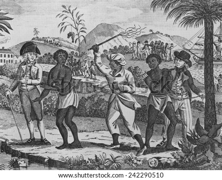 Think, african slave trade with Can recommend african slave trade opinion