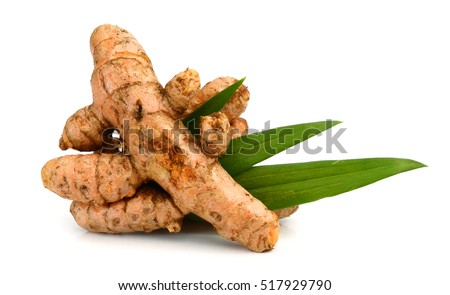 Turmeric root on white background