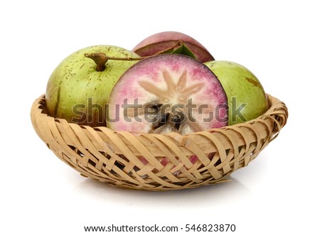 star apple chrysophyllum cainito as an Title, production of white glue out of star apple (chrysophyllum cainito) extract call no(s), ip 460 location(s), stii main author, mecua, john. star apple chrysophyllum cainito as an Title, production of white glue out of star apple (chrysophyllum cainito) extract call no(s), ip 460 location(s), stii main author, mecua, john.