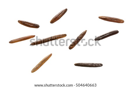 Single Grain Of Rice Stock Images, Royalty-Free Images & Vectors ...