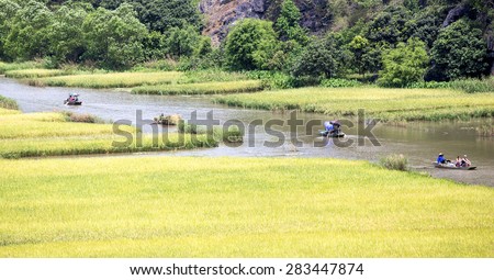 Rice field and river, NinhBinh, vietnam landscapes