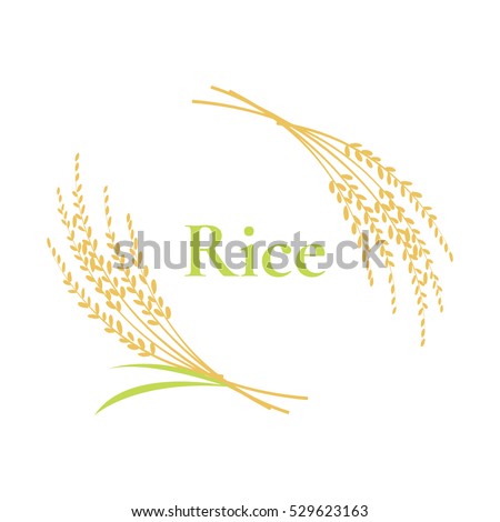rice logo design on white background, vector