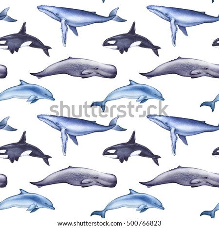 Sperm whale illustrations are Very Sperm whale illustrations confirm. And