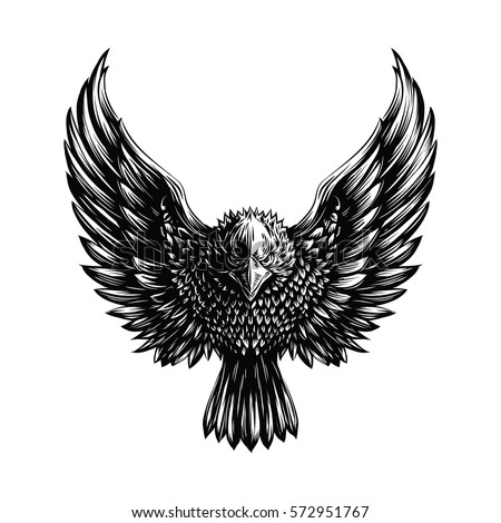 eagle drawing stock images royalty free images amp vectors eagle drawing stock images royalty free images amp vectors