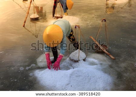 Ninh Thuan Province, Vietnam - February 28, 2016 : woman is working on salt field at dawn. Salt field Hon Khoi in Nha Trang, Viet Nam. Workers transporting salt from the fields Hon Khoi, Viet Nam.