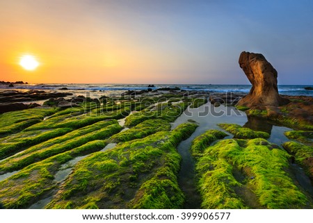 At a season of year at dawn, the stones in the Co Thach coast were fully covered with moss and seaweed. That coast is located in Tuy Phong, Binh Thuan province, Vietnam