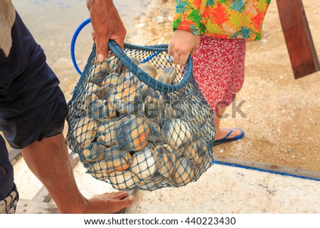 Phu Quoc island, Kien Giang province, VietNam - April 30, 2016 : seafood harvesting of marine fishermen in Phu Quoc Island. Basket cockle, oyster, shellfish in the sea of fishermen on Phu Quoc Island