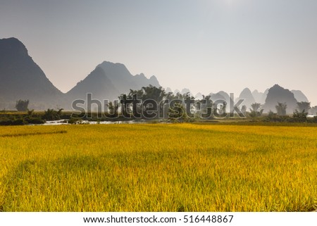Rice field in Cao Bang province. Caobang is North East province of Vietnam near China