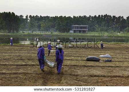 Flamingo Dai Lai, Vinh Phuc province, Vietnam - October 11, 2016 : The female workers who are working with the rudimentary tools at Flamingo Dai Lai resort of Vinh Phuc Province, Vietnam