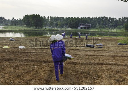 Flamingo Dai Lai, Vinh Phuc province, Vietnam - October 11, 2016 : The female workers who are working with the rudimentary tools at Flamingo Dai Lai resort of Vinh Phuc Province, Vietnam