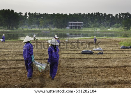 Flamingo Dai Lai, Vinh Phuc province, Vietnam - October 11, 2016 : The female workers who are working with the rudimentary tools at Flamingo Dai Lai resort of Vinh Phuc Province, Vietnam