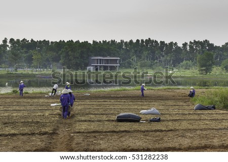Flamingo Dai Lai, Vinh Phuc province, Vietnam - October 11, 2016 : The female workers who are working with the rudimentary tools at Flamingo Dai Lai resort of Vinh Phuc Province, Vietnam