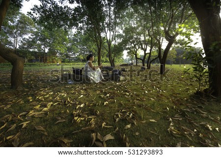 Flamingo Dai Lai, Vinh Phuc province, Vietnam - October 13, 2016: woman sitting reading relaxing on the lawn full of yellow leaves falling off into the sunset