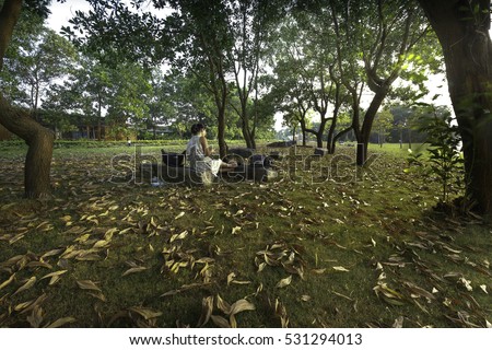 Flamingo Dai Lai, Vinh Phuc province, Vietnam - October 13, 2016: woman sitting reading relaxing on the lawn full of yellow leaves falling off into the sunset