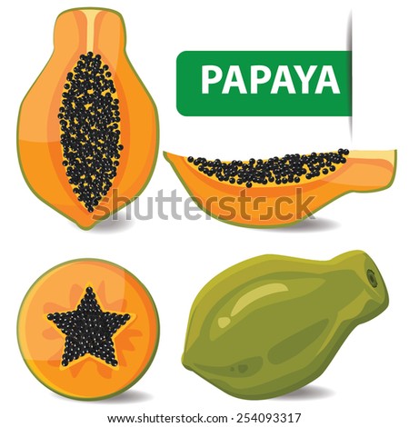 illustration papaya on white background